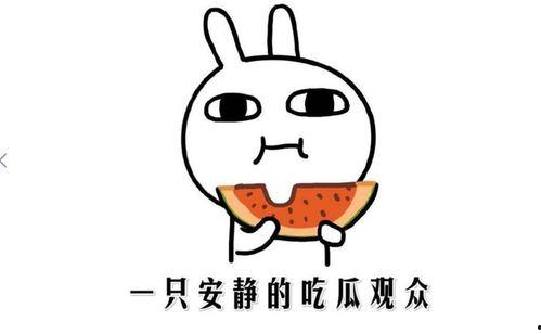 娱乐吃瓜点评怎么写的啊,揭秘明星幕后故事