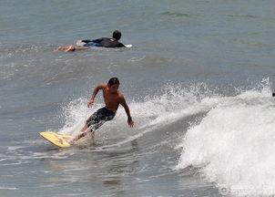 娱乐吃瓜冲浪社,揭秘娱乐圈幕后故事，带你畅游八卦海洋