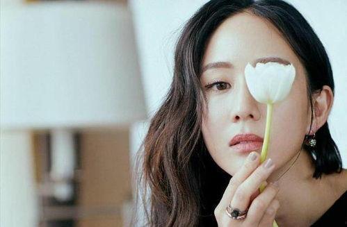 娱乐吃瓜酱4090,4090背后的故事与影响